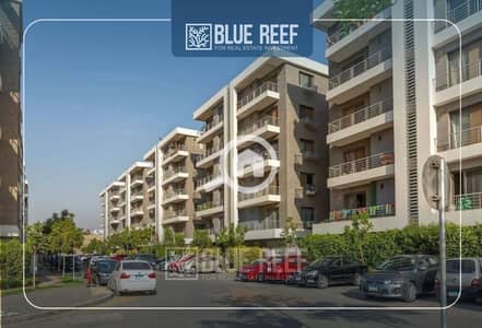 3 Bedroom Apartment for Sale in New Cairo, Cairo - sgyey. jpg