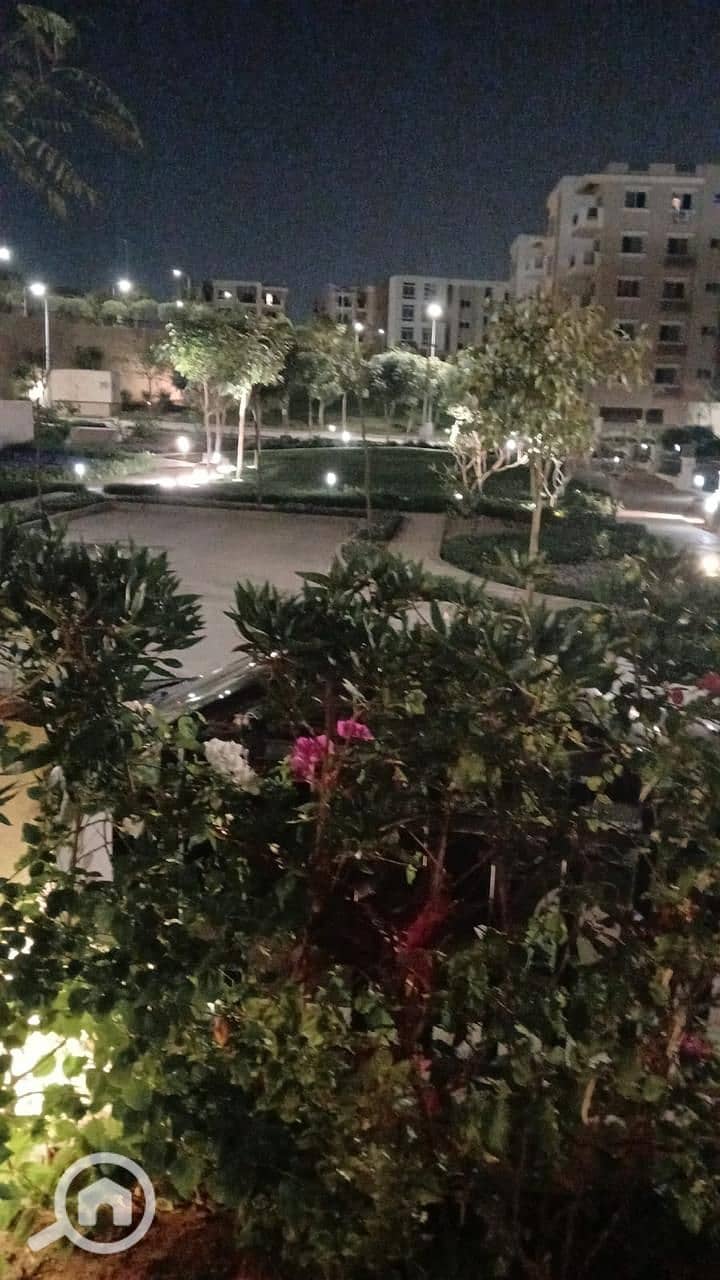 9 15534. jpg
