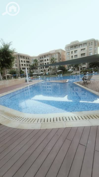 شقة 1 غرفة نوم للايجار في القاهرة الجديدة، القاهرة - A4387147-B4B0-4E0A-993B-B0F9B4B1EAAE. jpeg شقة 1 غرفة نوم للايجار في القاهرة الجديدة، القاهرة - A4387147-B4B0-4E0A-993B-B0F9B4B1EAAE. jpeg