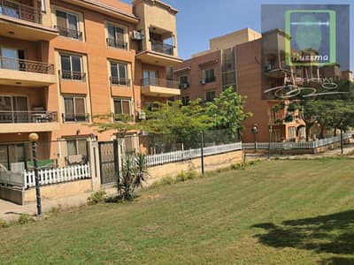 3 Bedroom Apartment for Rent in Sheikh Zayed, Giza - 1000517236. jpg 3 Bedroom Apartment for Rent in Sheikh Zayed, Giza - 1000517236. jpg