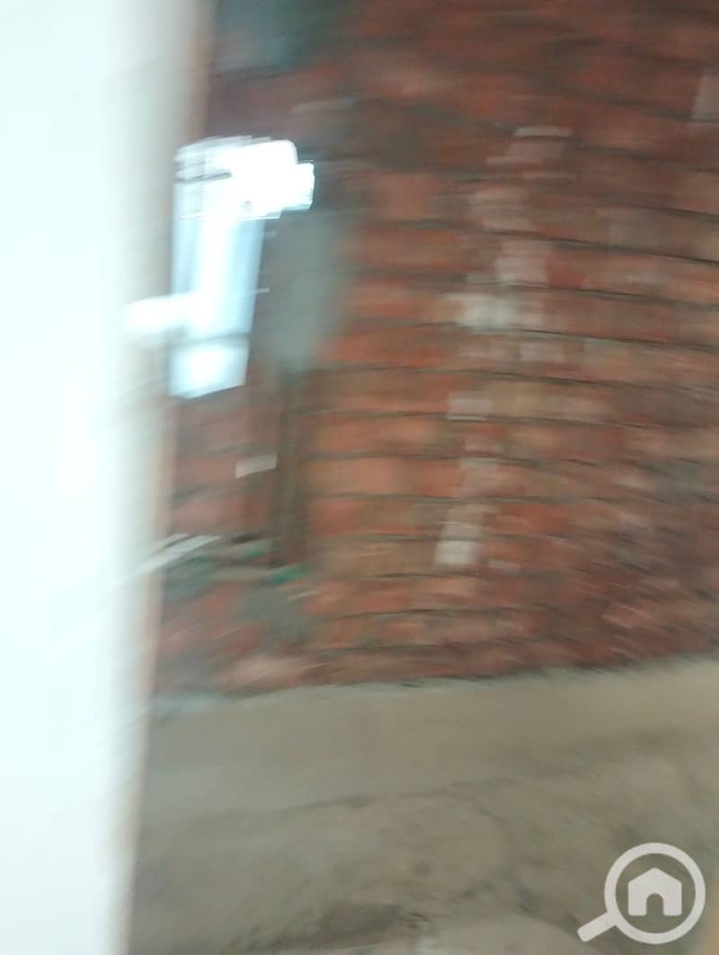 12 62184. jpg