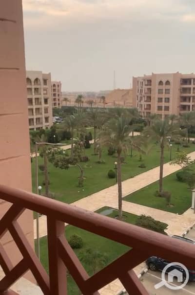 فلیٹ 3 غرف نوم للبيع في القاهرة الجديدة، القاهرة - WhatsApp Image 2026-10-28 at 4.26. 10 PM (2). jpeg فلیٹ 3 غرف نوم للبيع في القاهرة الجديدة، القاهرة - WhatsApp Image 2026-10-28 at 4.26. 10 PM (2). jpeg