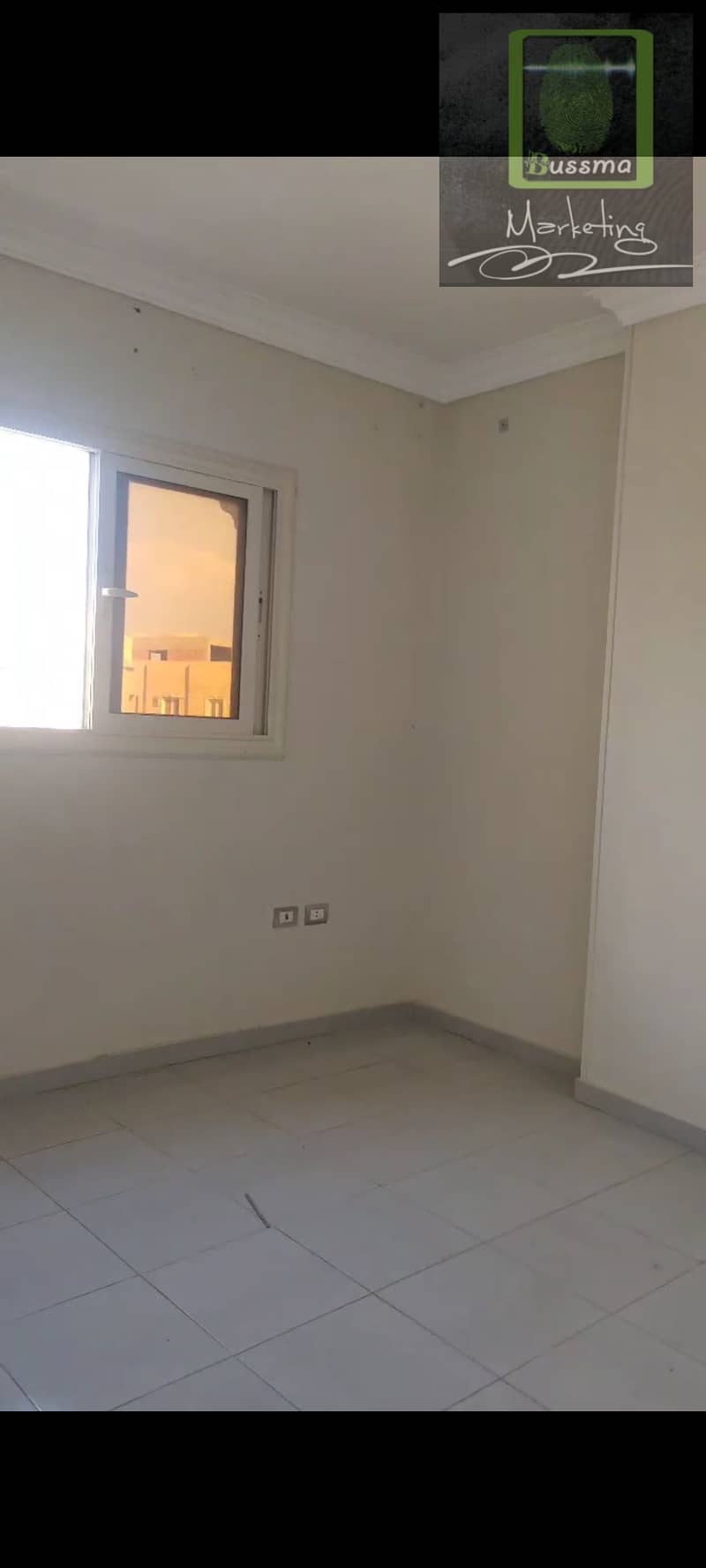 5 1000515778. jpg