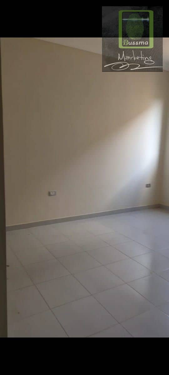 7 1000515790. jpg