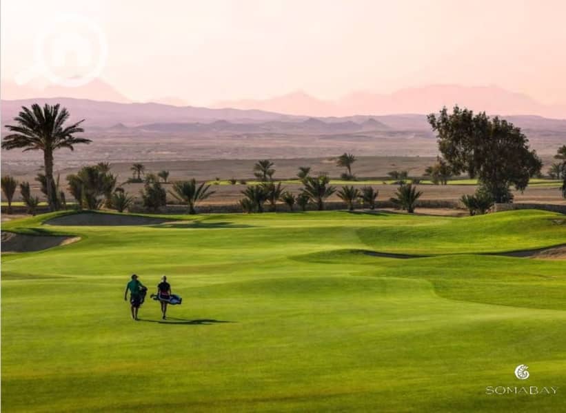 9 Screenshot_27-2-2024_144814_. jpeg