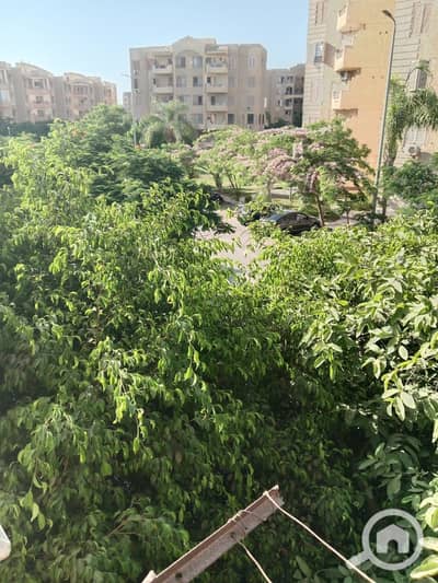 فلیٹ 3 غرف نوم للبيع في الشيخ زايد، الجيزة - 9da4d2d2-f5eb-4c98-a5ec-625706dadeab. jpg فلیٹ 3 غرف نوم للبيع في الشيخ زايد، الجيزة - 9da4d2d2-f5eb-4c98-a5ec-625706dadeab. jpg