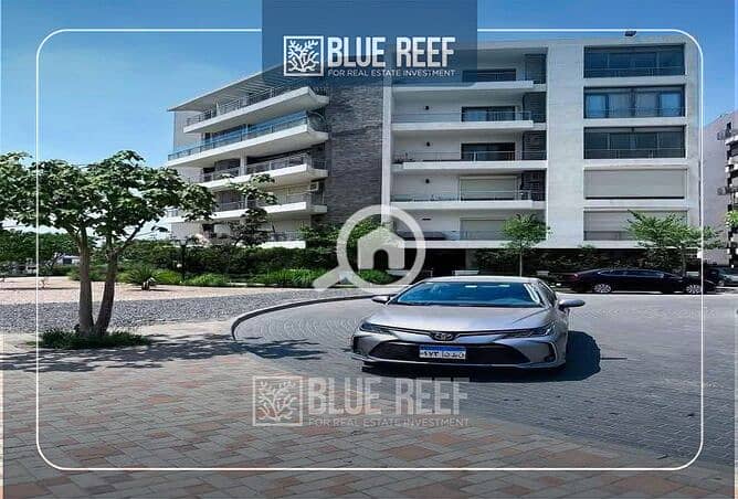 4 saad. jpg