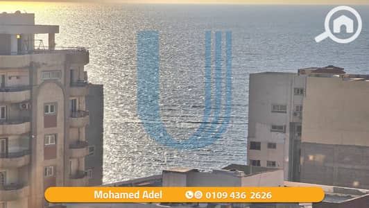 فلیٹ 3 غرف نوم للبيع في العصافرة، الإسكندرية - 1. png فلیٹ 3 غرف نوم للبيع في العصافرة، الإسكندرية - 1. png