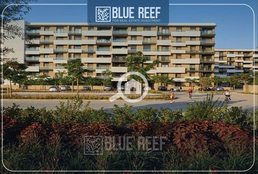 2 WhatsApp Image 2025-11-05 at 12.36. 44 PM (1). jpeg