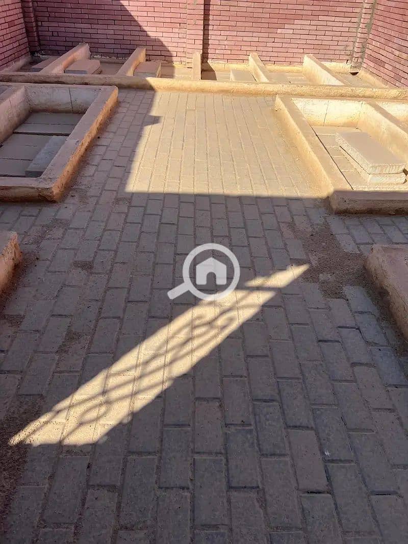4 1000023428. webp