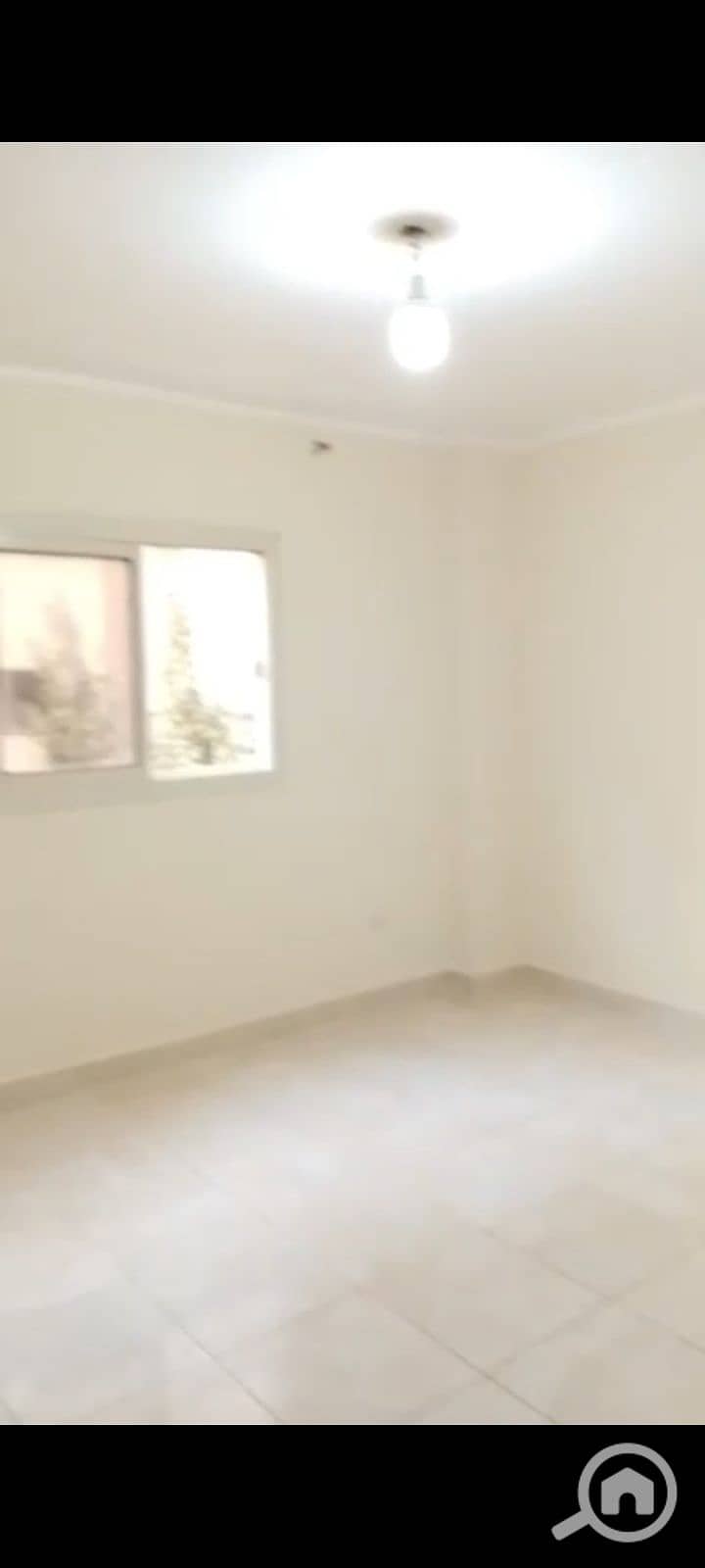 7 1000118646. jpg