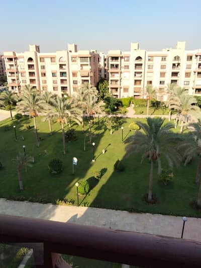 3 Bedroom Flat for Sale in New Cairo, Cairo - 1000492182. jpg 3 Bedroom Flat for Sale in New Cairo, Cairo - 1000492182. jpg