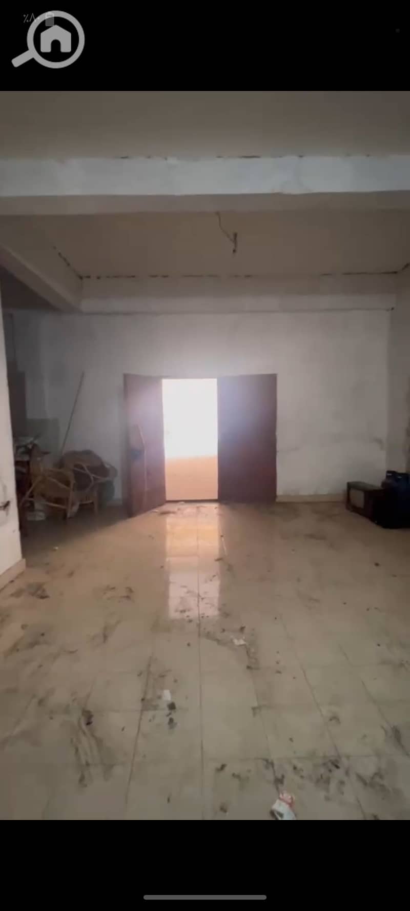 7 1000709005. png