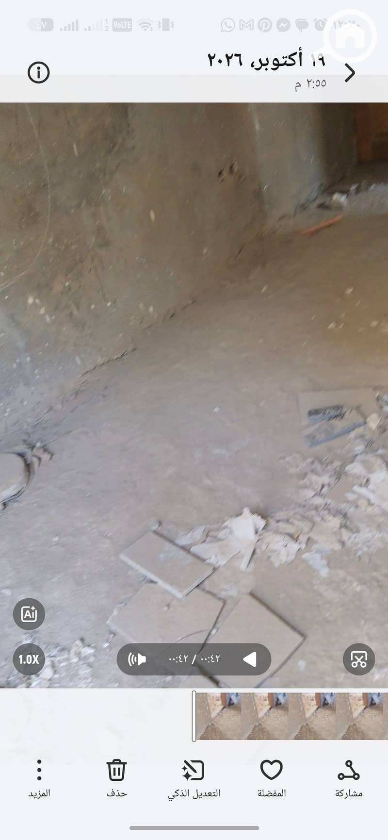 8 1069658. jpg