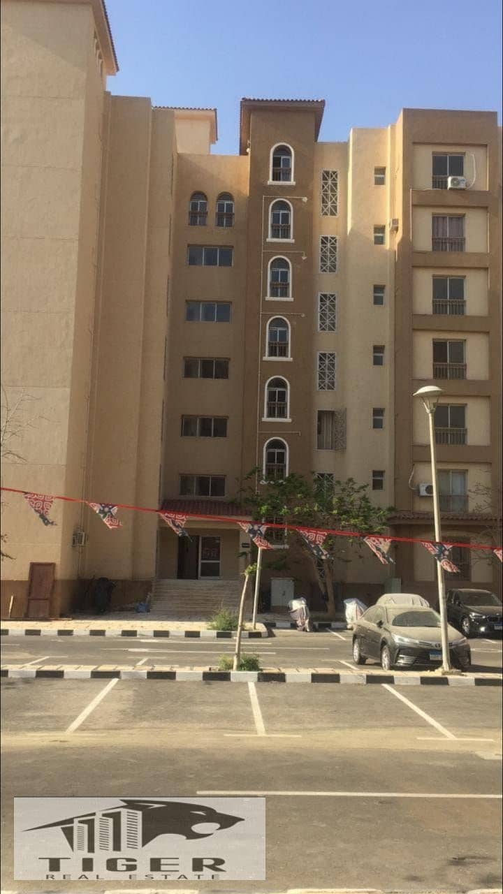 5 1001019124. jpg