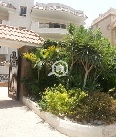 4 Bedroom Apartment for Rent in Katameya, Cairo - WhatsApp Image 2026-10-29 at 1.05. 16 AM. jpeg 4 Bedroom Apartment for Rent in Katameya, Cairo - WhatsApp Image 2026-10-29 at 1.05. 16 AM. jpeg