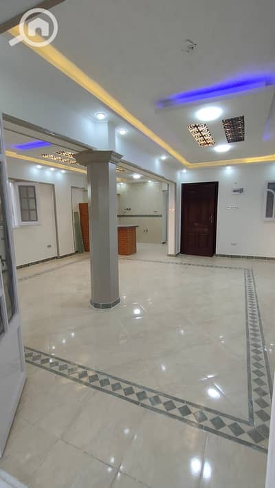 فلیٹ 3 غرف نوم للبيع في النخيل، الإسكندرية - 1000758989. jpg فلیٹ 3 غرف نوم للبيع في النخيل، الإسكندرية - 1000758989. jpg