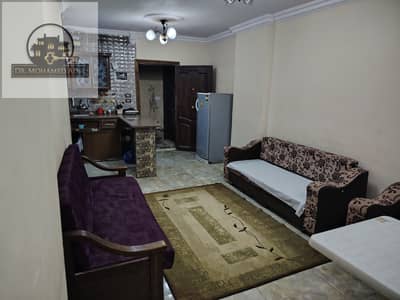2 Bedroom Apartment for Rent in Agami, Alexandria - 262808. jpg 2 Bedroom Apartment for Rent in Agami, Alexandria - 262808. jpg