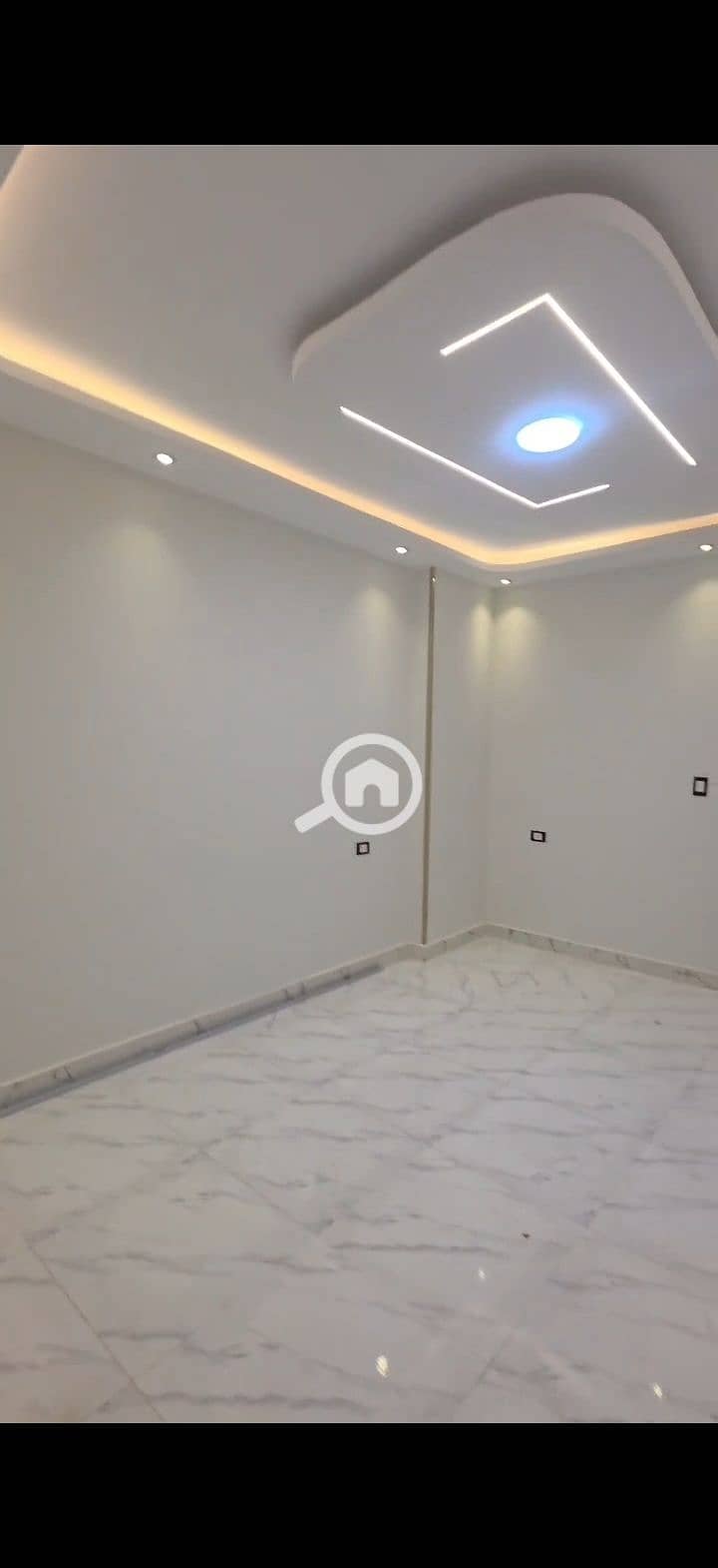 4 240053. jpg