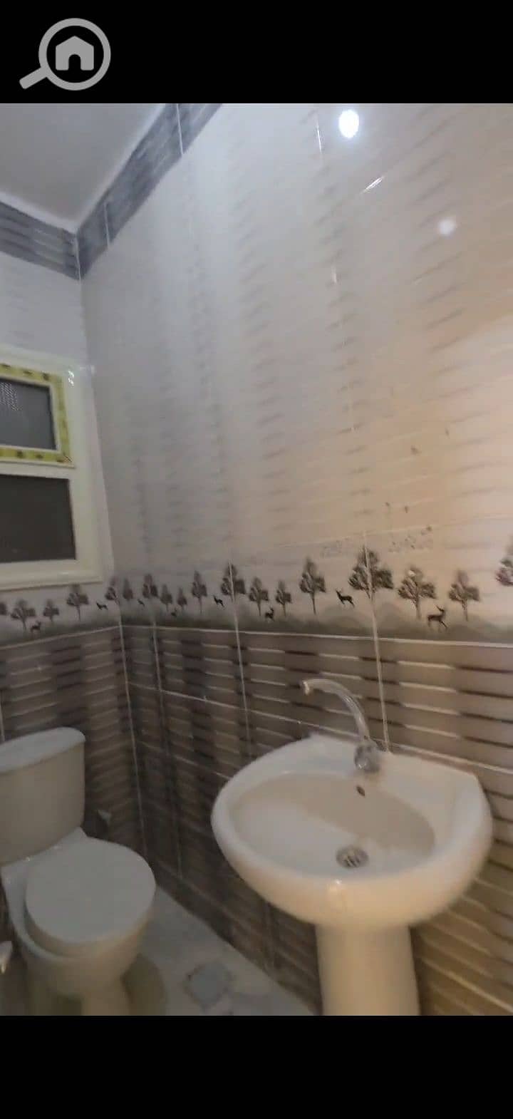 6 240055. jpg