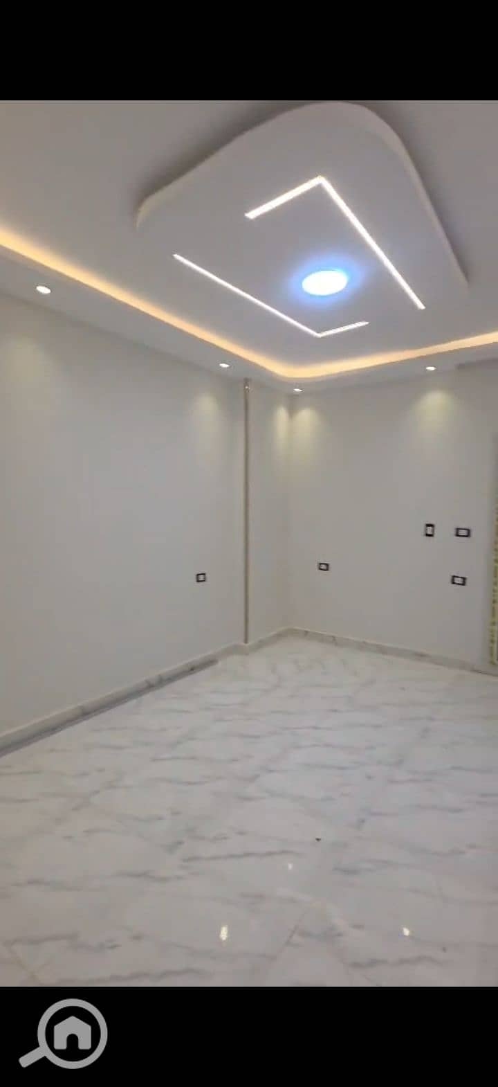 7 240059. jpg