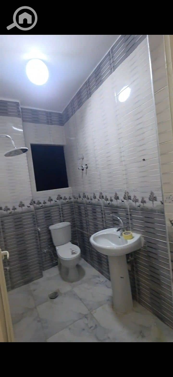 11 240050. jpg
