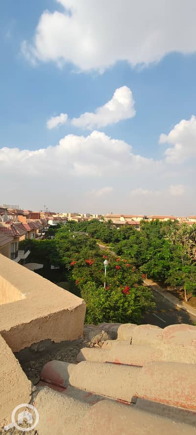 4 Bedroom Townhouse for Sale in Madinaty, Cairo - 1000619208. jpg 4 Bedroom Townhouse for Sale in Madinaty, Cairo - 1000619208. jpg