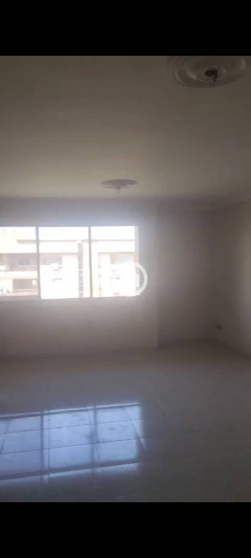 4 681183. jpg