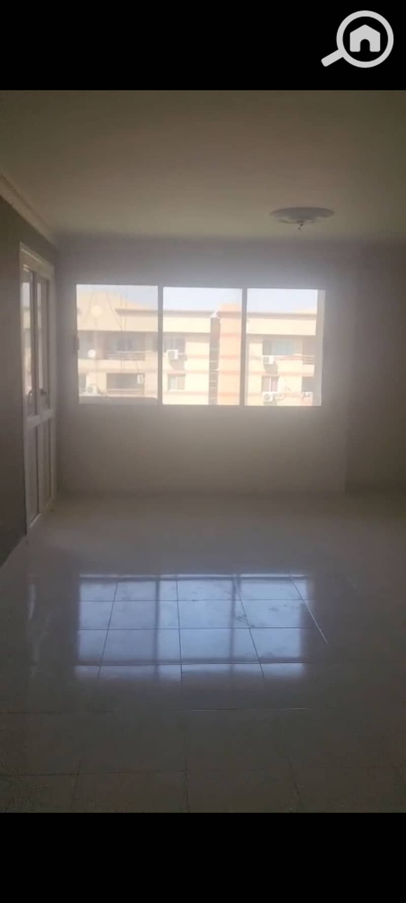 5 681184. jpg