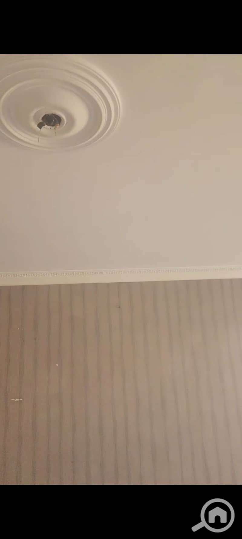 8 681177. jpg