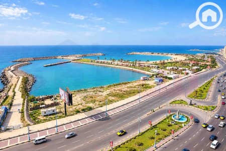 شقة 4 غرف نوم للبيع في زيزينيا، الإسكندرية - WhatsApp Image 2026-10-26 at 14.25. 19. jpg شقة 4 غرف نوم للبيع في زيزينيا، الإسكندرية - WhatsApp Image 2026-10-26 at 14.25. 19. jpg