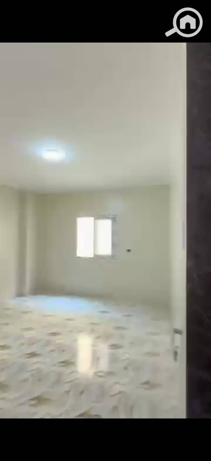 29 240167. jpg