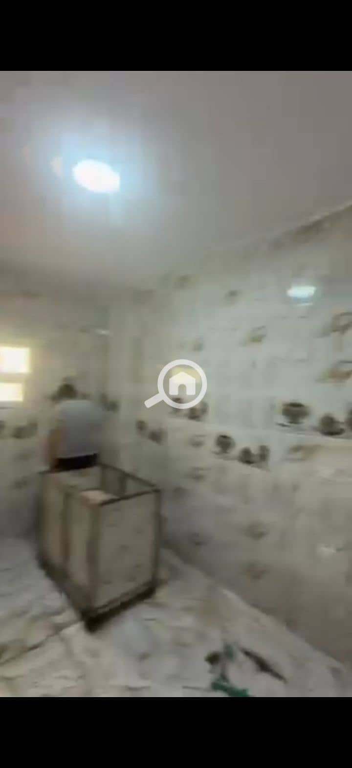 31 240163. jpg