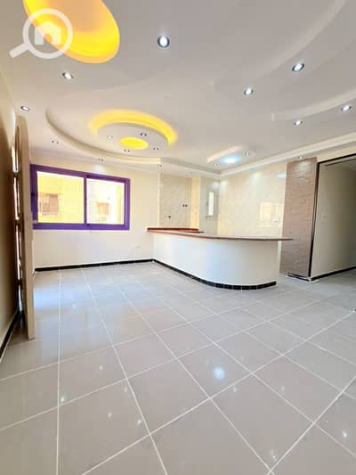 2 Bedroom Flat for Sale in Nakheel, Alexandria - 1000758250. jpg 2 Bedroom Flat for Sale in Nakheel, Alexandria - 1000758250. jpg