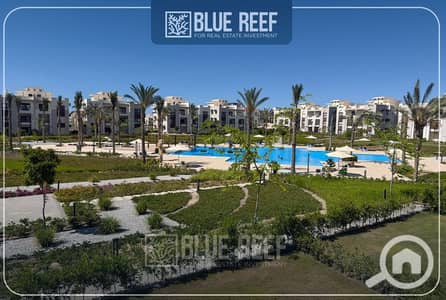 شاليه 2 غرفة نوم للبيع في الساحل الشمالي، مطروح - rfefr. jpg شاليه 2 غرفة نوم للبيع في الساحل الشمالي، مطروح - rfefr. jpg