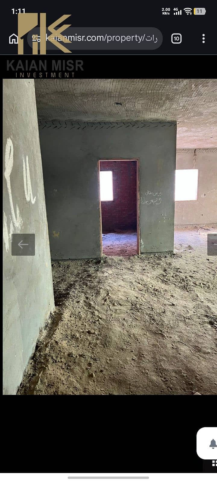 4 1000025028. jpg