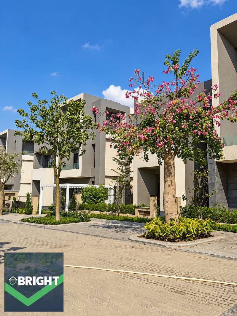 7 Saada_Compound_11. jpg
