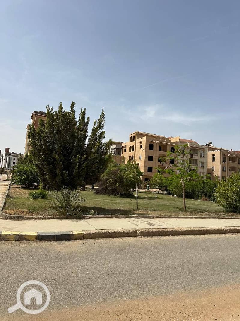 3 IMG_9603. jpeg
