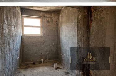 5 photo_11. png