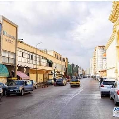 شقة 3 غرف نوم للبيع في سموحة، الإسكندرية - images. jpg شقة 3 غرف نوم للبيع في سموحة، الإسكندرية - images. jpg
