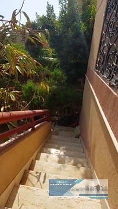 شقة 2 غرفة نوم للبيع في القاهرة الجديدة، القاهرة - 296571. jpg شقة 2 غرفة نوم للبيع في القاهرة الجديدة، القاهرة - 296571. jpg