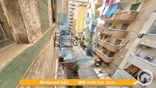 فلیٹ 3 غرف نوم للبيع في ميامي، الإسكندرية - 000001. png فلیٹ 3 غرف نوم للبيع في ميامي، الإسكندرية - 000001. png