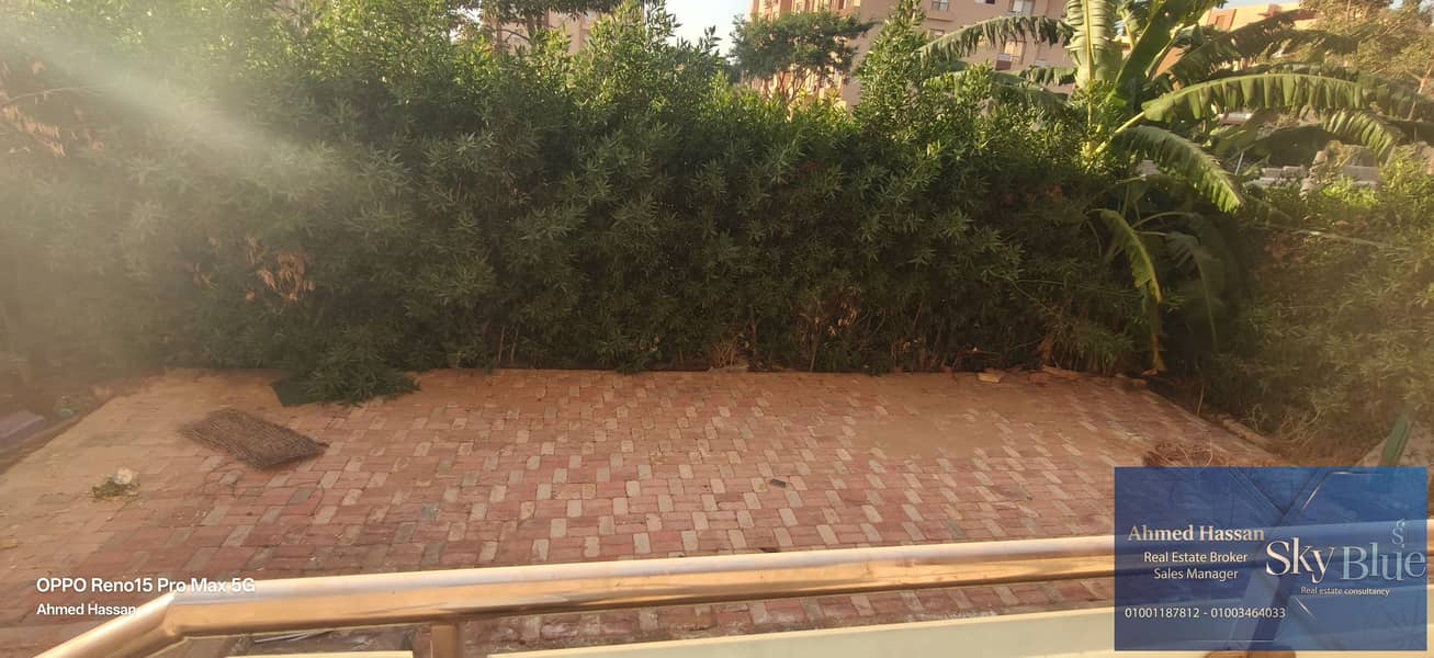4 462400. jpg