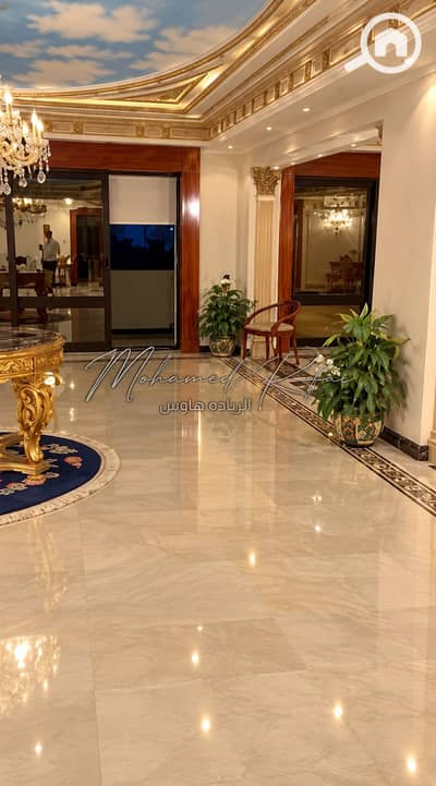 3 Bedroom Flat for Sale in Raml Station, Alexandria - Opulent Gold-Accented Marble Foyer. png 3 Bedroom Flat for Sale in Raml Station, Alexandria - Opulent Gold-Accented Marble Foyer. png
