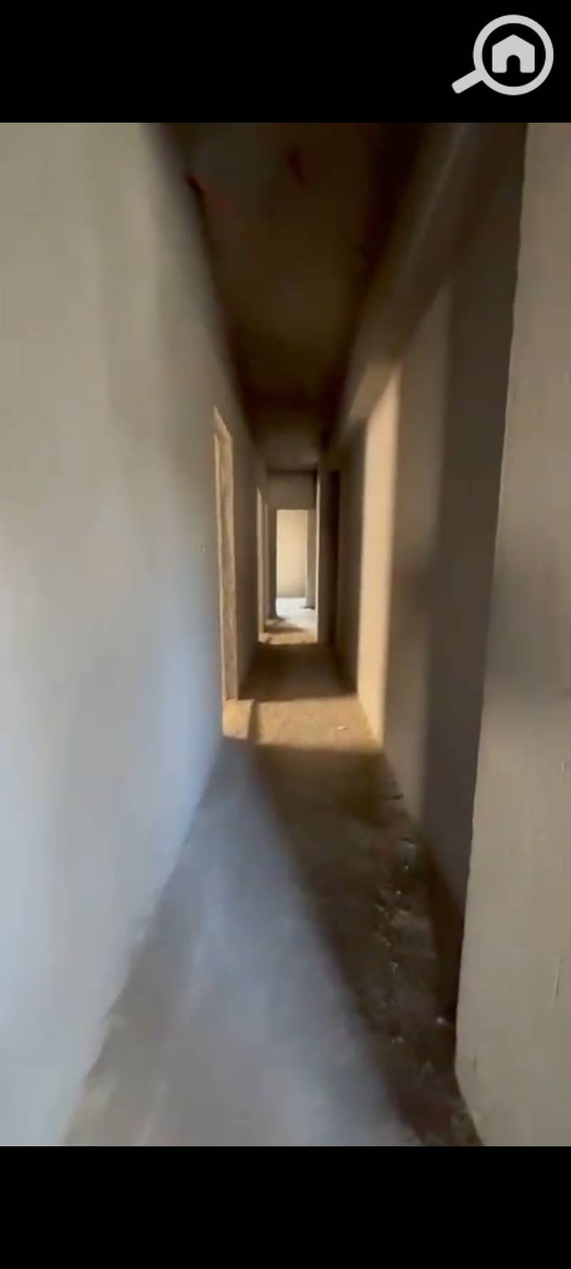 4 276339. jpg