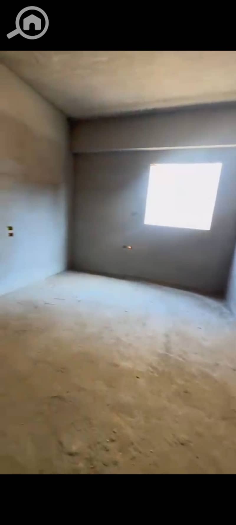 5 276340. jpg