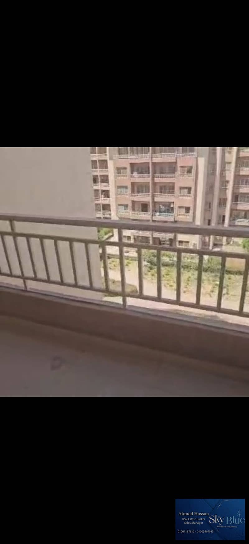 20 462304. jpg