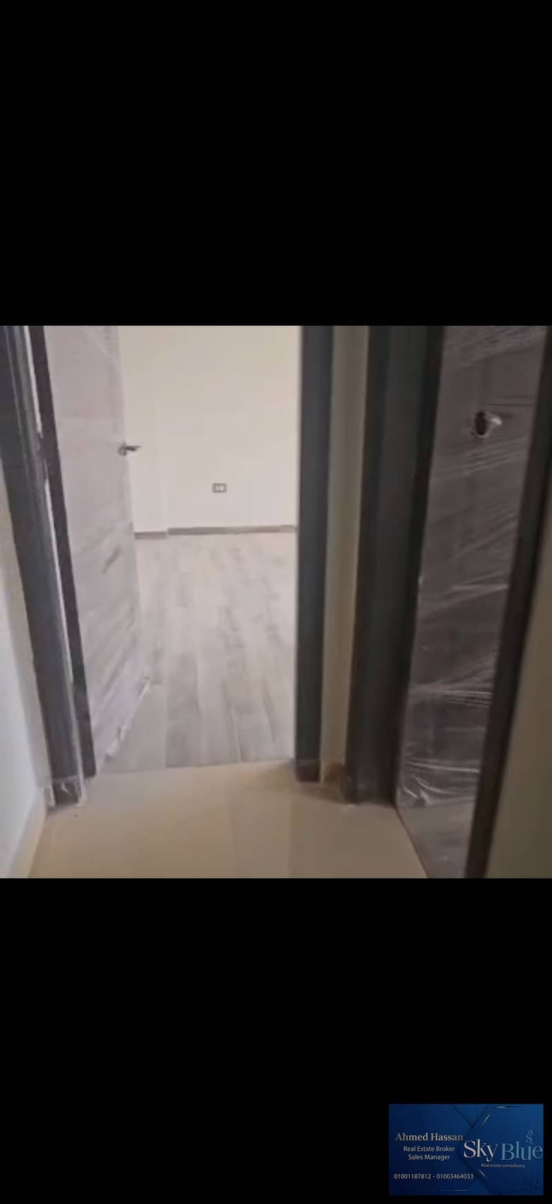 4 462308. jpg