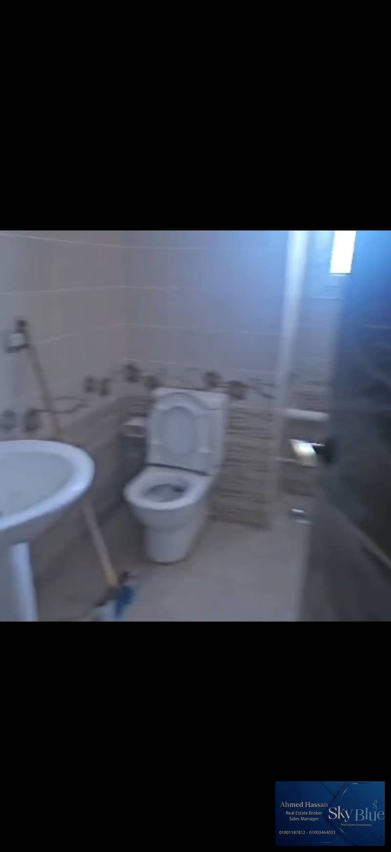 5 462314. jpg