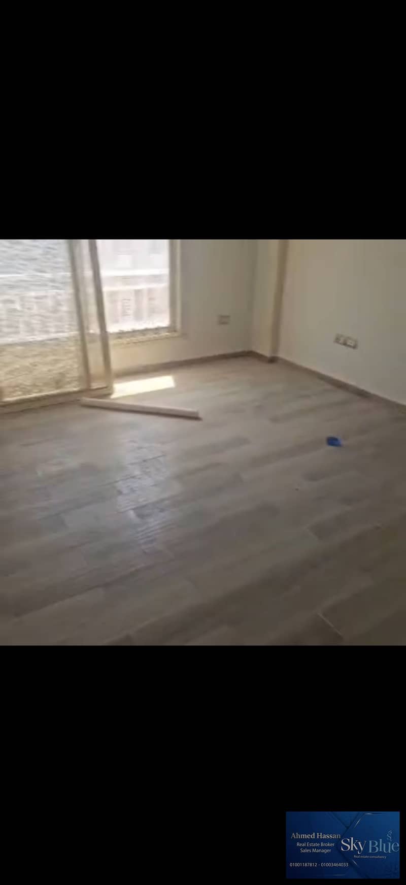 6 462317. jpg